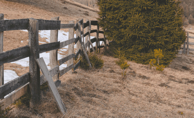 Steps To Resolve A Fence Dispute Without Going To Court Steps To Resolve A Fence Dispute Without Going To Court