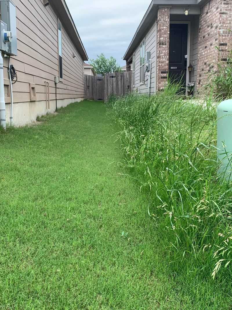 Stop Mowing Every Edge Into Short Turf