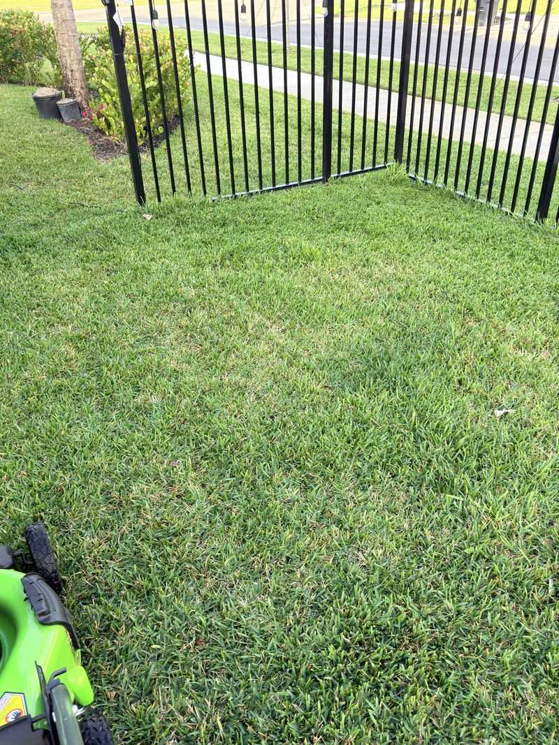 Stop Watering Before The Lawn Asks Stop Watering Before The Lawn Asks