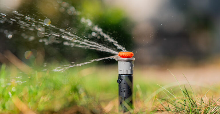Stop Watering Your Arizona Lawn On A Set Schedule During Monsoon Season