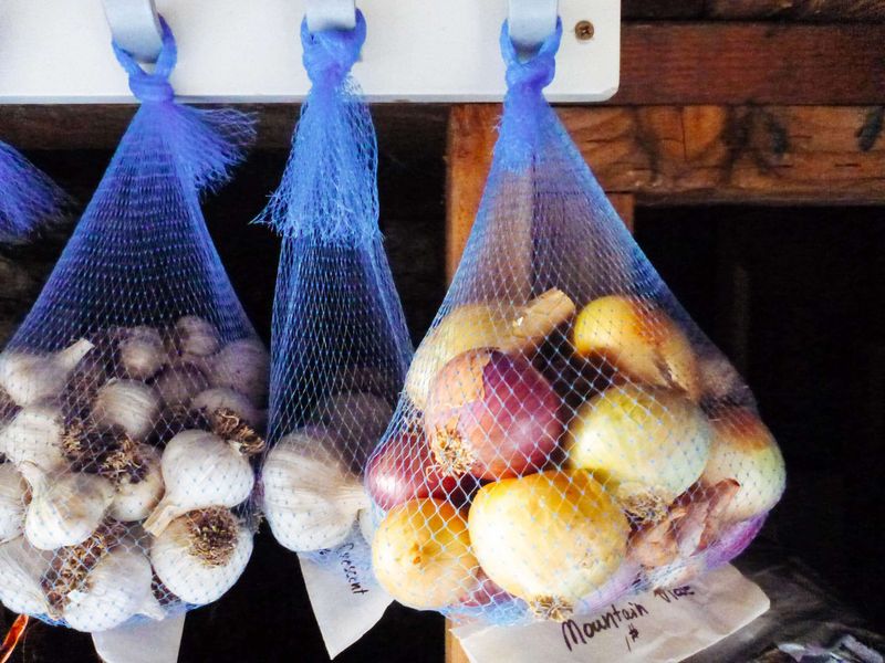 Store Cured Garlic And Onions Cool Dry And Well Ventilated Store Cured Garlic And Onions Cool Dry And Well Ventilated