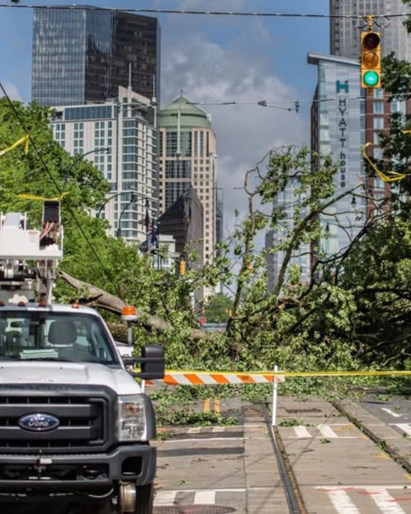 Storm Cleanup and Power Lines Need a Safer Plan Storm Cleanup and Power Lines Need a Safer Plan