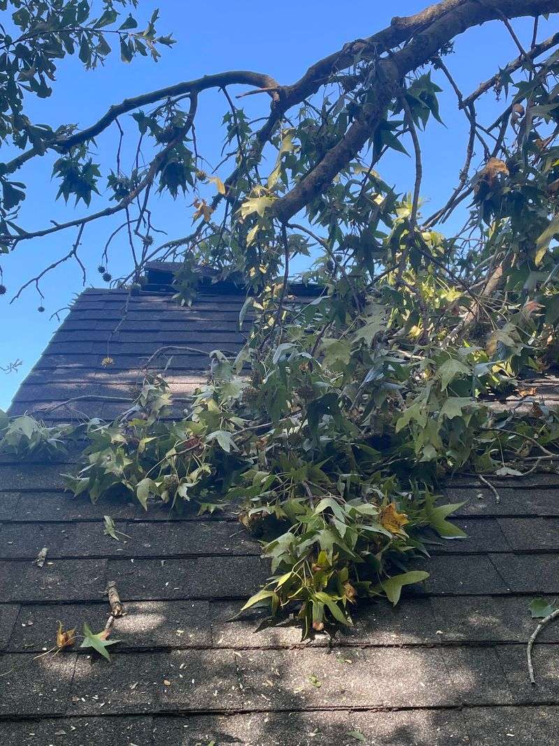 Storm Damage Is Not Always Your Neighbor's Fault