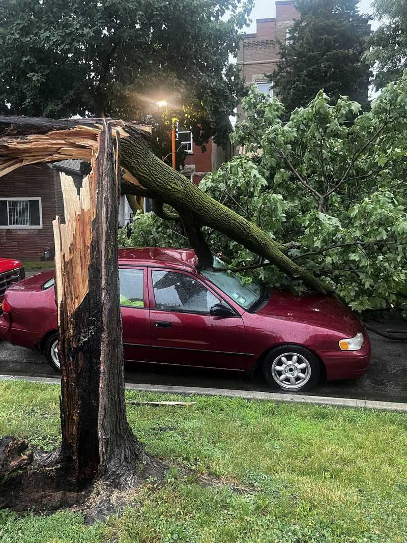 Storm Damage Is Often Treated Differently
