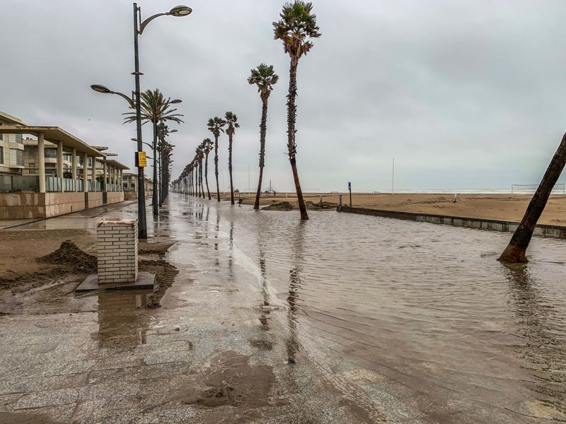 Storm Surge Risk Shapes What Can Be Planted Storm Surge Risk Shapes What Can Be Planted