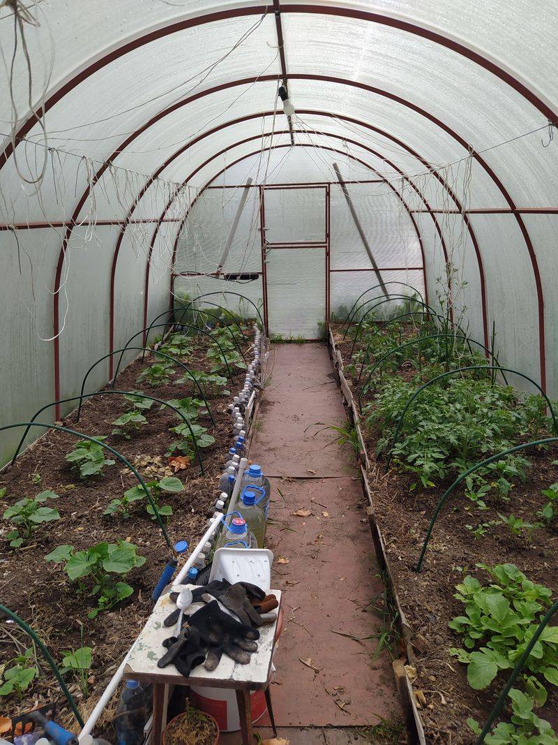 Sub-Irrigation And Water Table Control For Home Beds Sub-Irrigation And Water Table Control For Home Beds