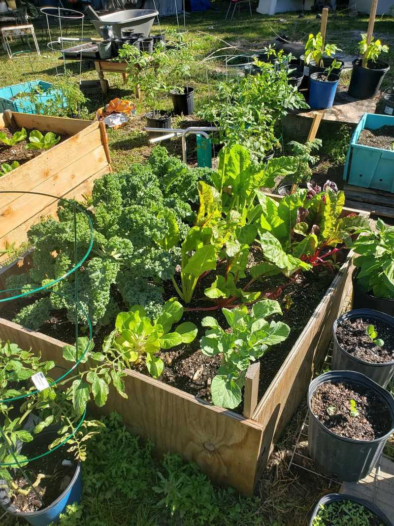 Summer Crops Need Better Timing Summer Crops Need Better Timing