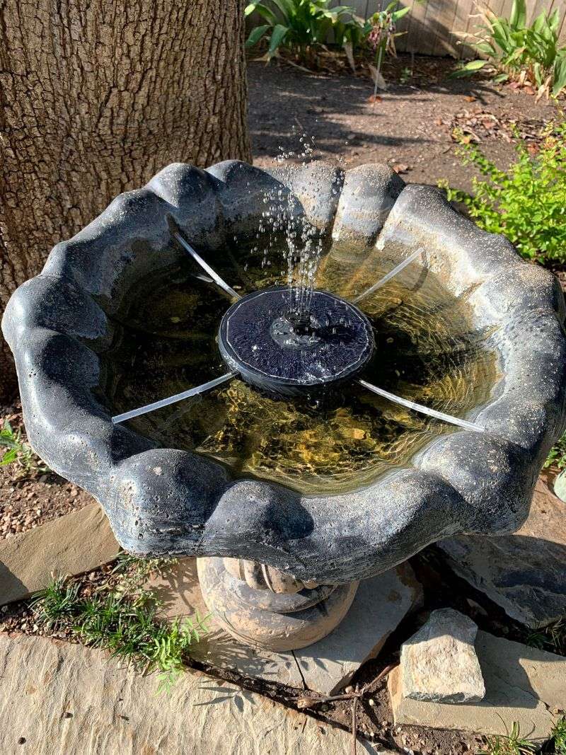 Summer Heat Turns Water Bad Fast Summer Heat Turns Water Bad Fast