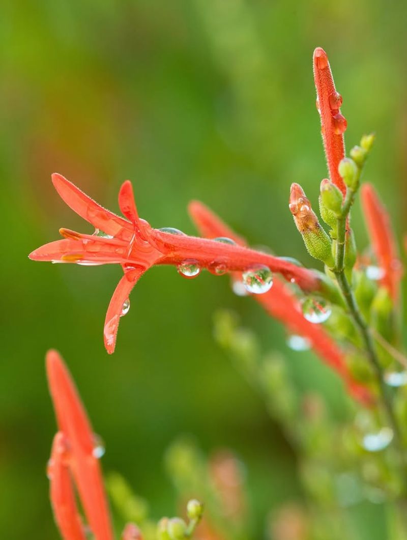 Sun Builds Stronger Blooming Sun Builds Stronger Blooming