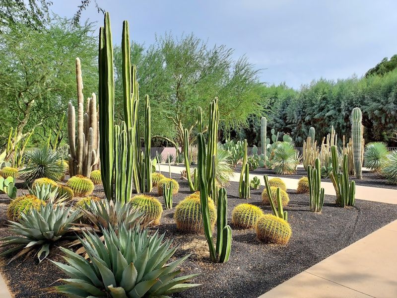 Sunnylands Brings Desert-Garden Polish To Rancho Mirage Sunnylands Brings Desert-Garden Polish To Rancho Mirage
