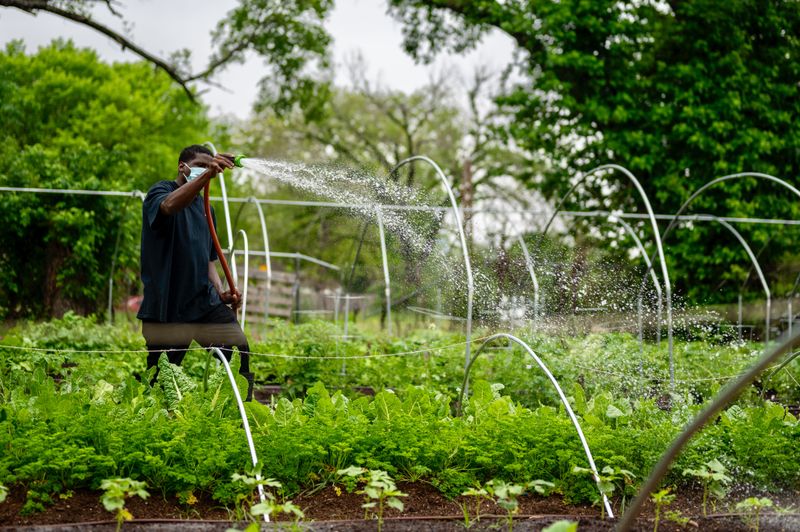 Support Water Conservation Efforts In Your Community