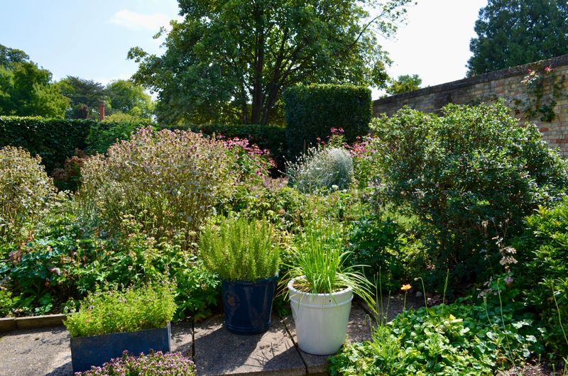 Surrounding Newly Planted Perennials And Shrubs