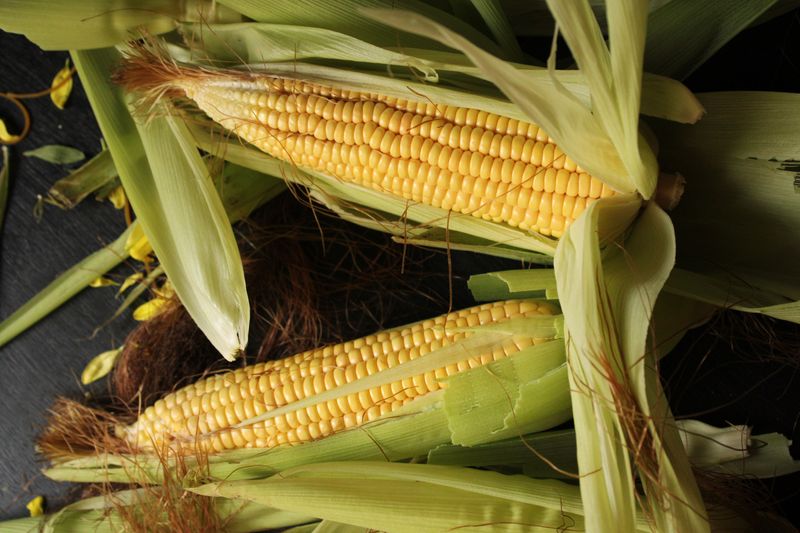 Sweet Corn