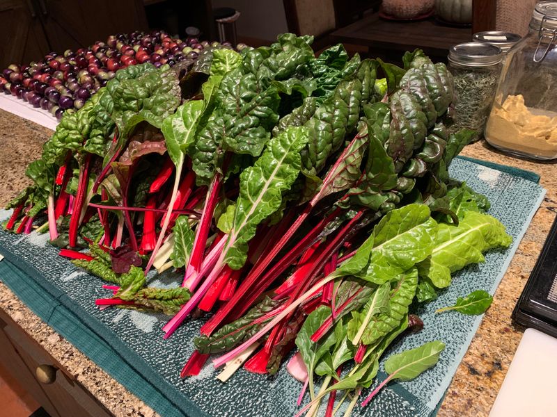 Swiss Chard Bridges Summer And Fall