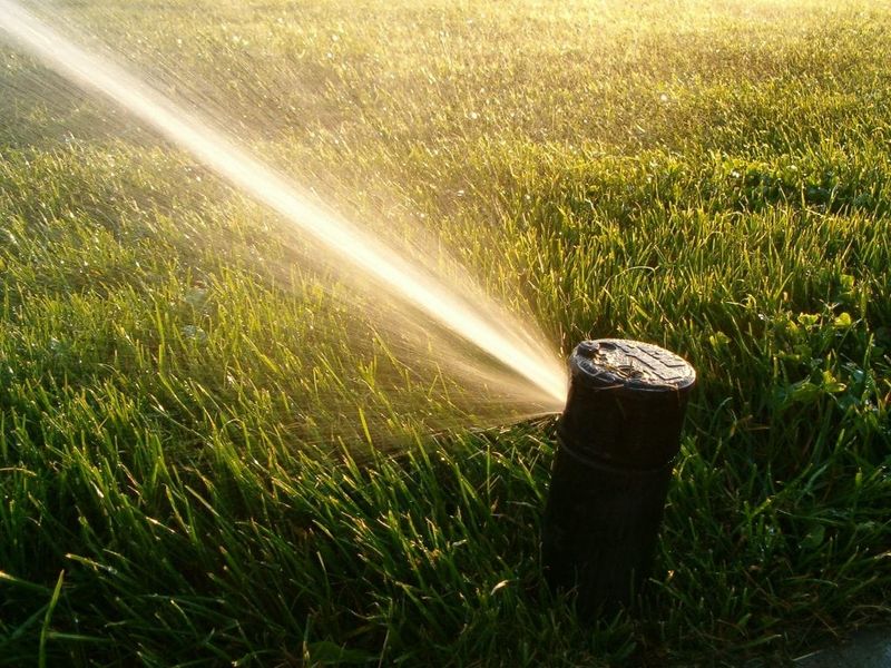 Switch To Early Morning Watering Switch To Early Morning Watering