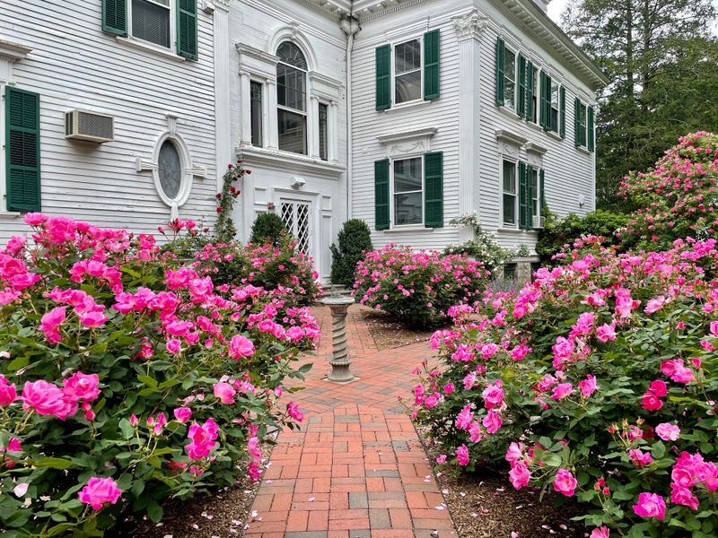 Symmetrical Twin Flowerbeds Flanking A Central Walkway