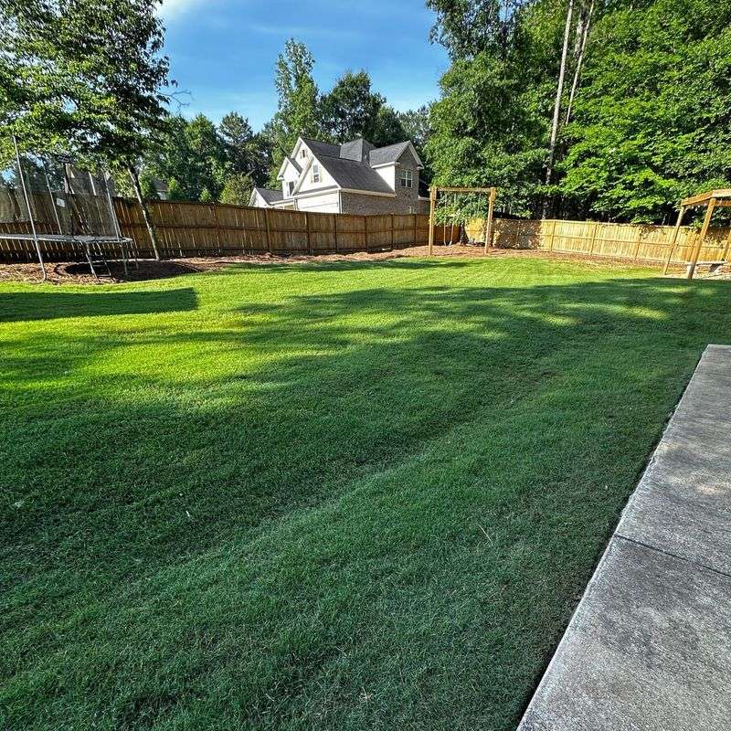 Taller Mowing Helps Grass Handle Summer Heat Taller Mowing Helps Grass Handle Summer Heat