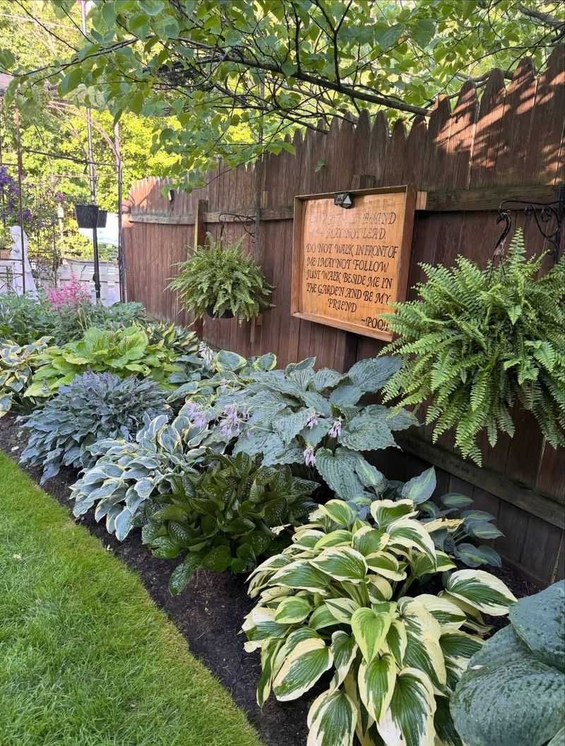Tattered Leaves With Spots May Mean Disease Tattered Leaves With Spots May Mean Disease
