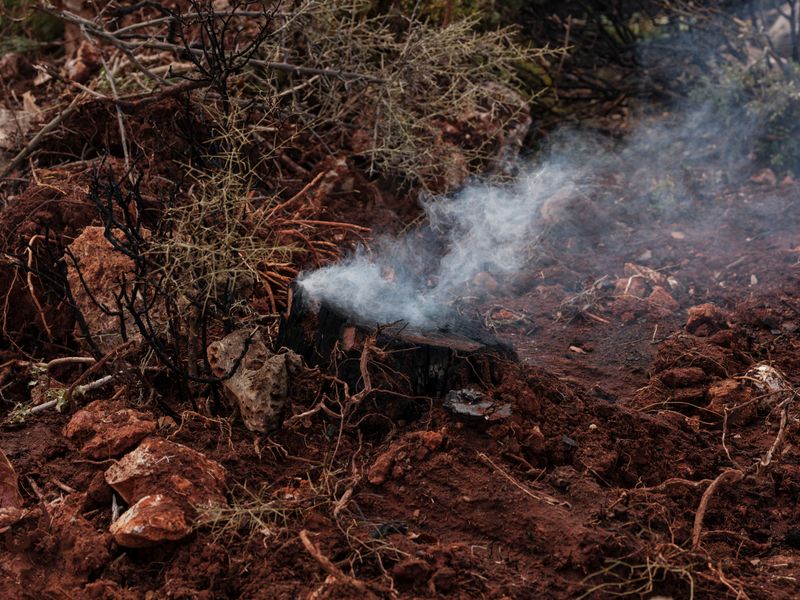 Test Soil After Smoke Clears From Your Yard