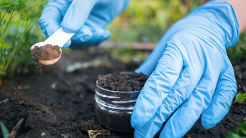 Test Soil Before Buying Amendments