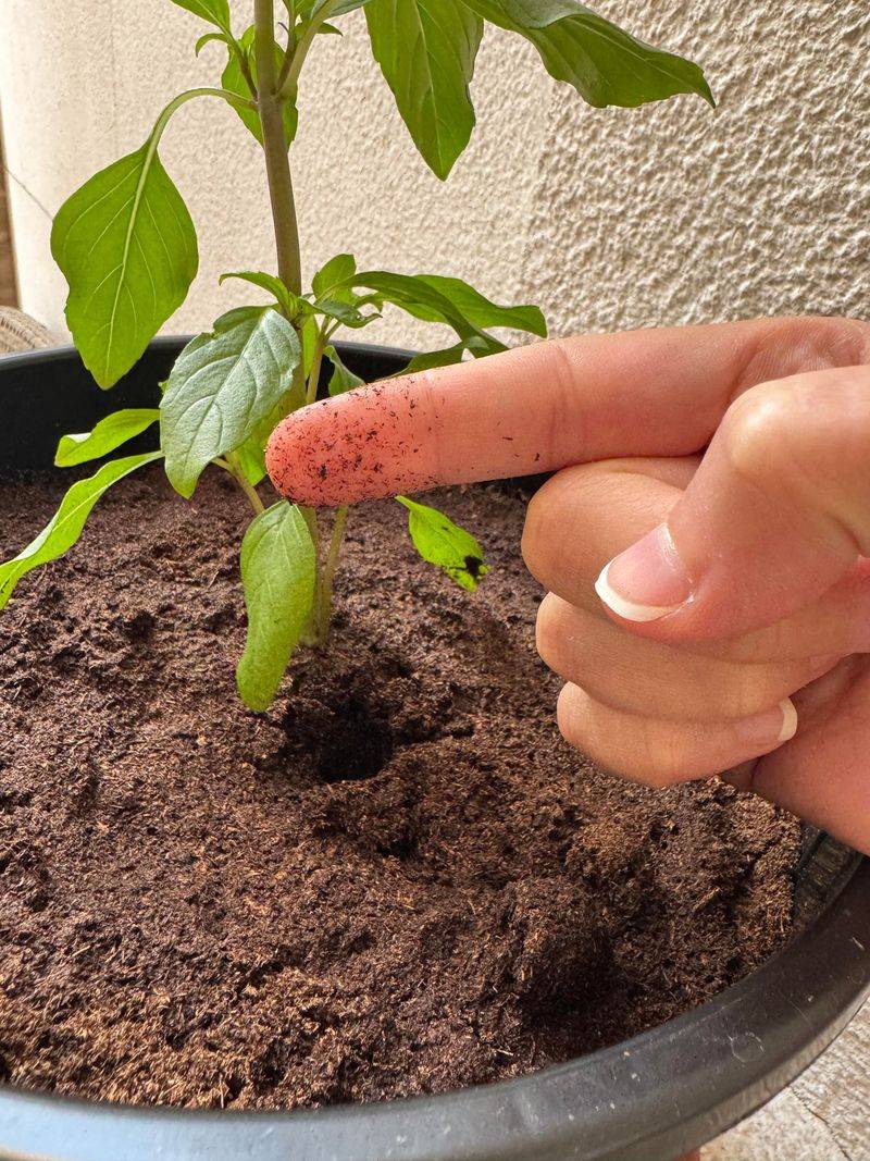 Test Soil With Your Finger Test Soil With Your Finger