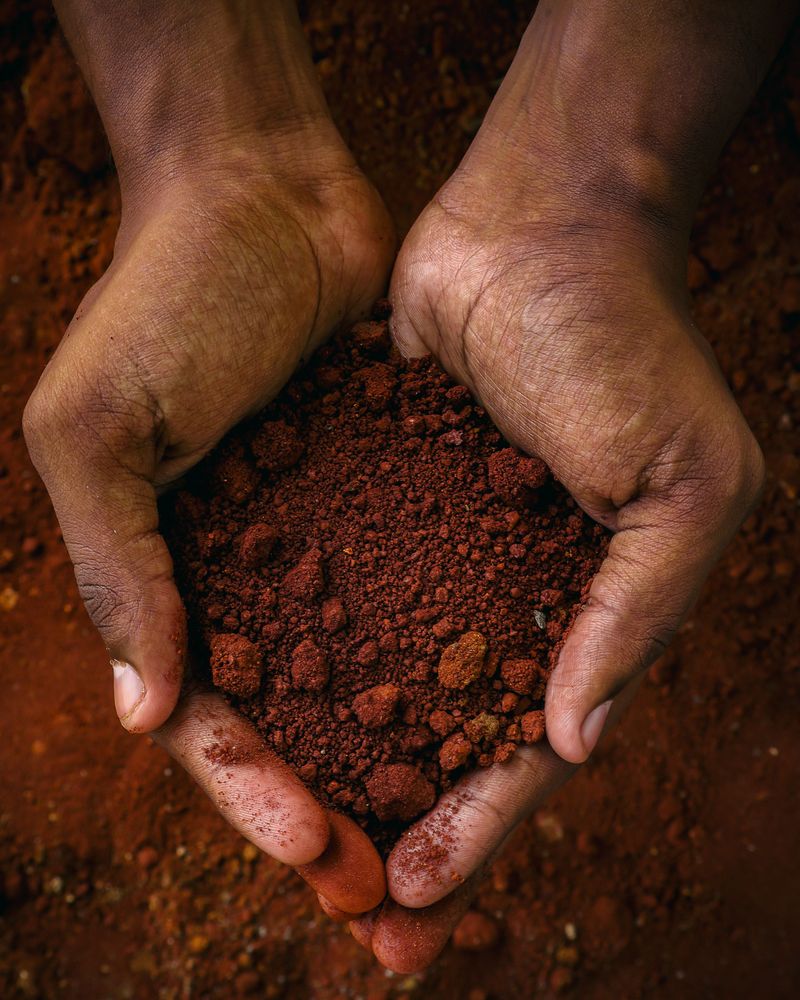 Testing Your Soil Comes Before Any Amendment