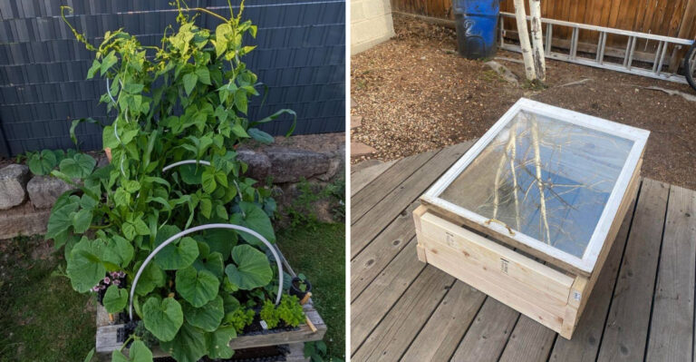 The Amish-Inspired Gardening Practices Some Pennsylvania Homeowners Are Trying In Their Gardens