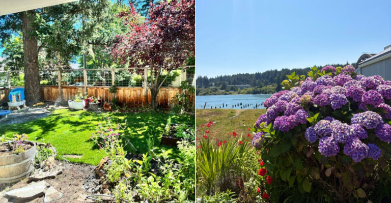 The August Garden Checklist Oregon Gardeners Need Region By Region