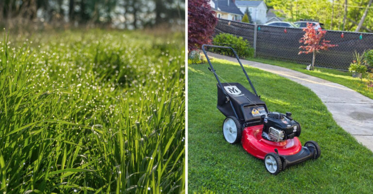 The Bermuda Grass Mowing Mistake Many Georgia Homeowners Make In Summer Heat