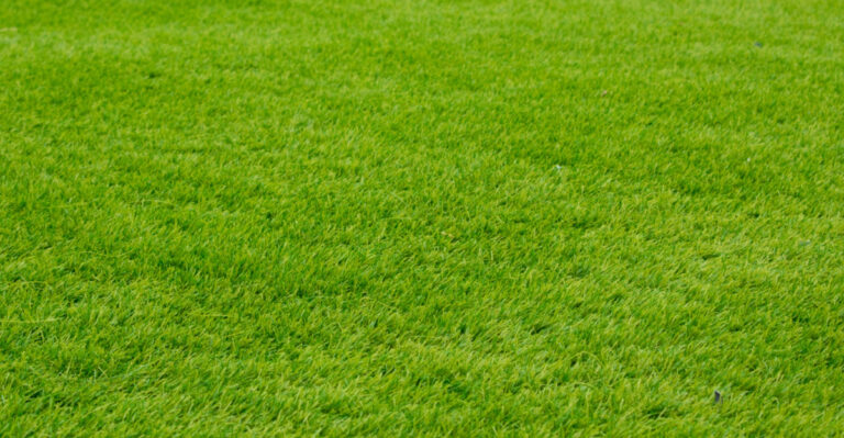 The Bermuda Grass Mowing Mistake South Carolina Homeowners Keep Making