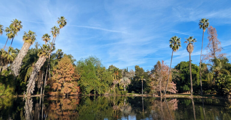 The Best California Arboretums Worth A Weekend Trip