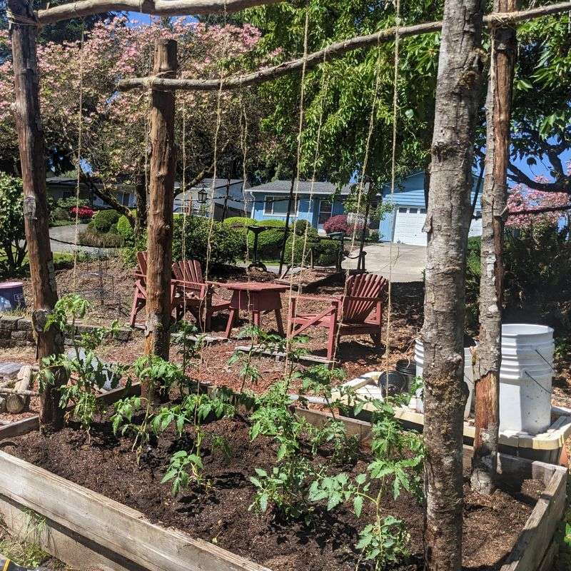 The Best Choice Combines Trellising With Clean Bed Care