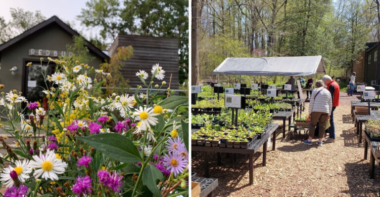 The Best Pennsylvania Nurseries For Drought Tolerant Natives Worth Visiting Before Current Water Restrictions Get Worse