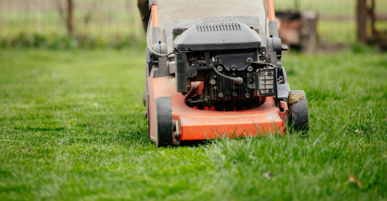 mow lawn