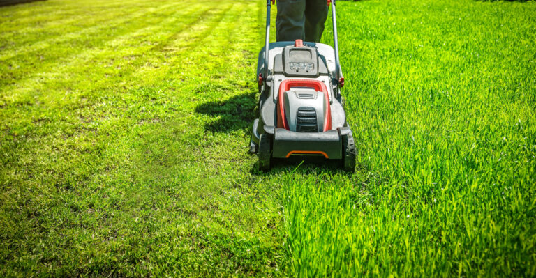 lawn mowing