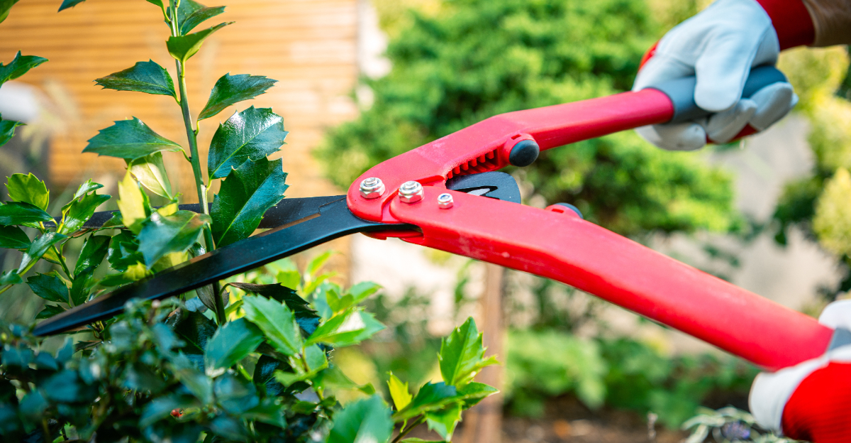 tree pruning (featured image)