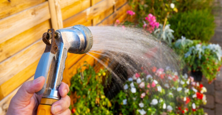 The Biggest Summer Watering Mistakes Arizona Gardeners Make In July