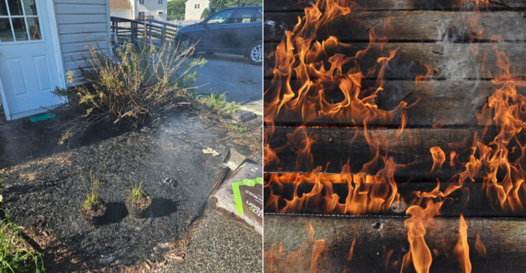 The California Defensible Space Law Most Homeowners Don’t Fully Understand