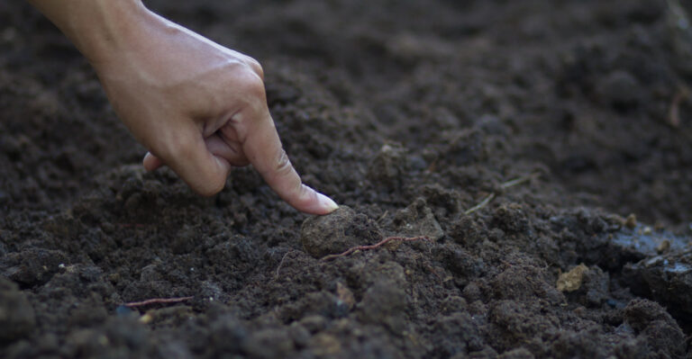 The California Garden Water Test That Helps Prevent Overwatering In Summer
