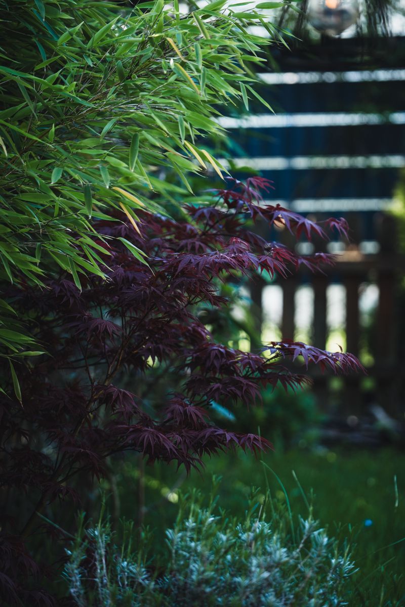 The Corner Of Your Yard Feng Shui Cares About Most The Corner Of Your Yard Feng Shui Cares About Most