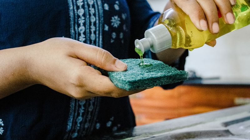 The Dish Soap Test That Confirms An Infestation