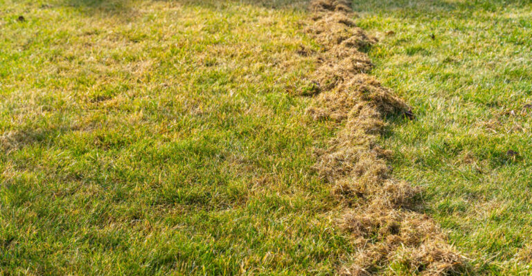 The Dry Grass Mowing Mistake That Triggers Oregon Red Flag Warnings