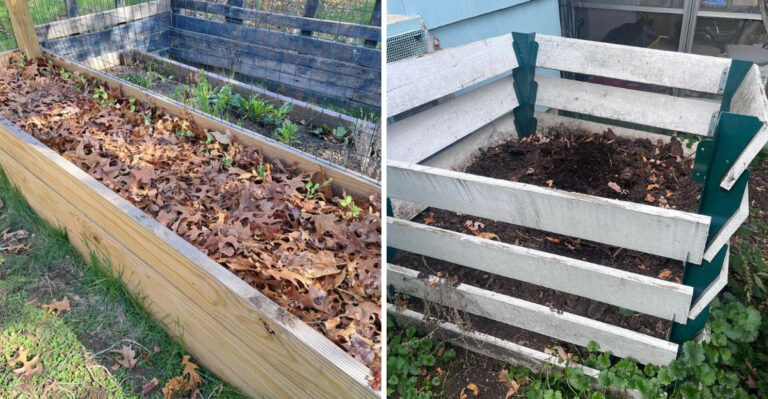 The Florida Garden Habit That Improves The Whole Yard Without Adding A Single New Plant