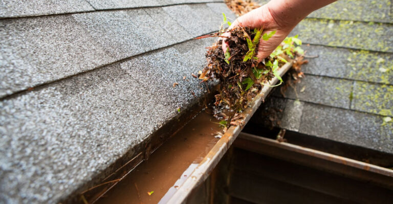 The Georgia Yard Feature That Keeps Creating Mosquito Hotspots After Every Storm