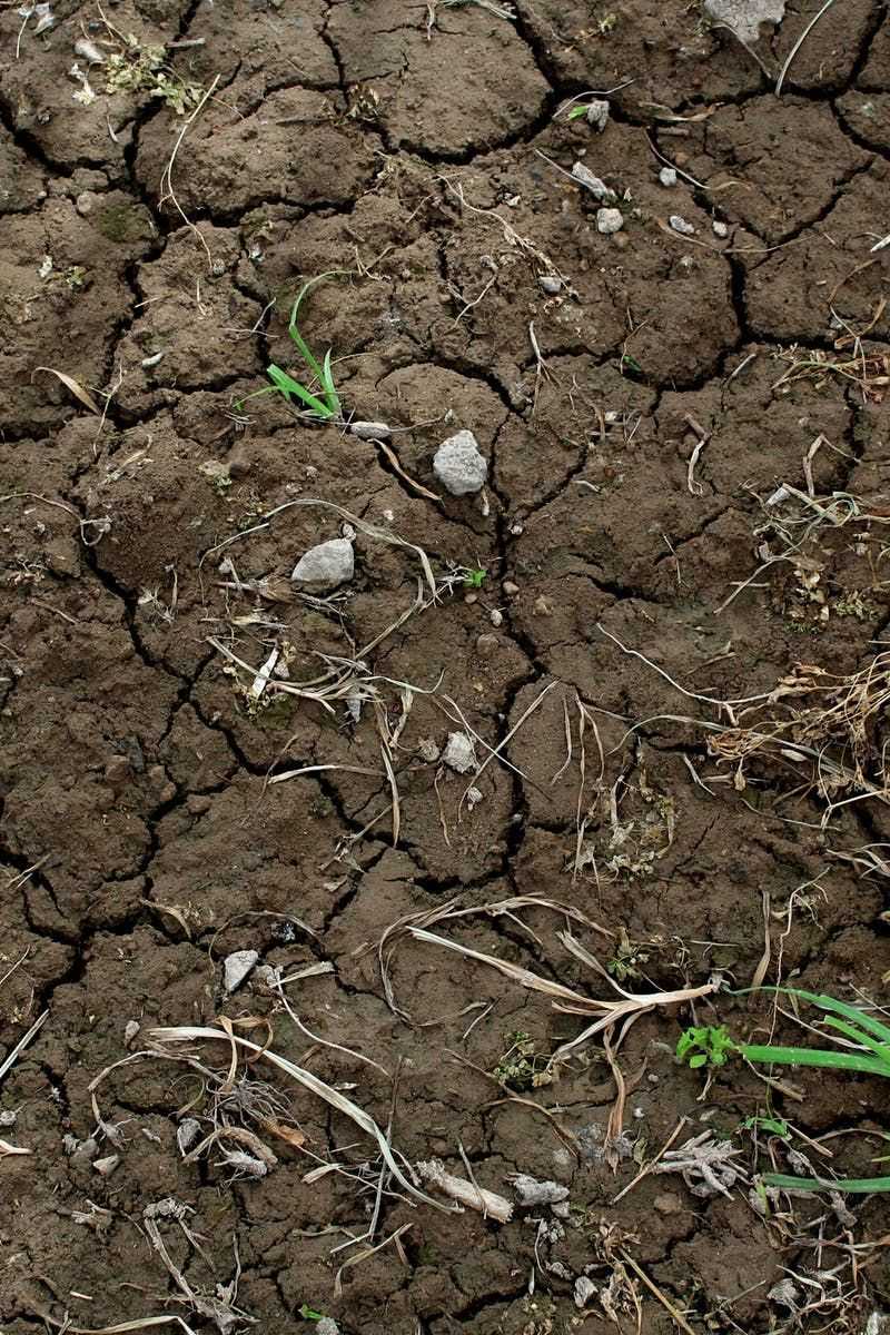 The Ground May Be Too Dry The Ground May Be Too Dry