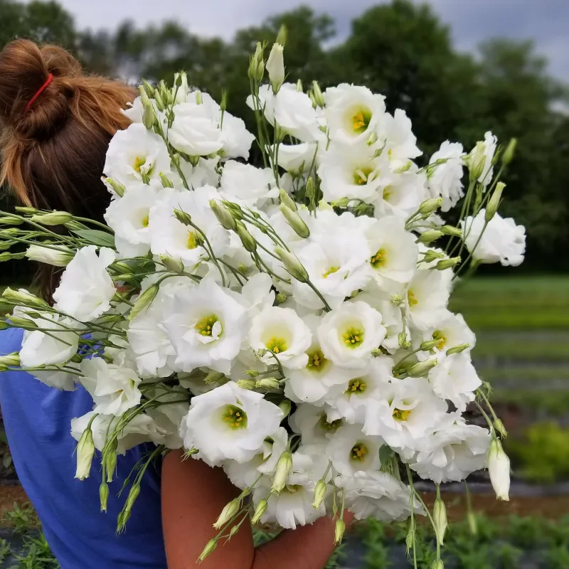 The Harvest Looks Like Something From A Professional Florist