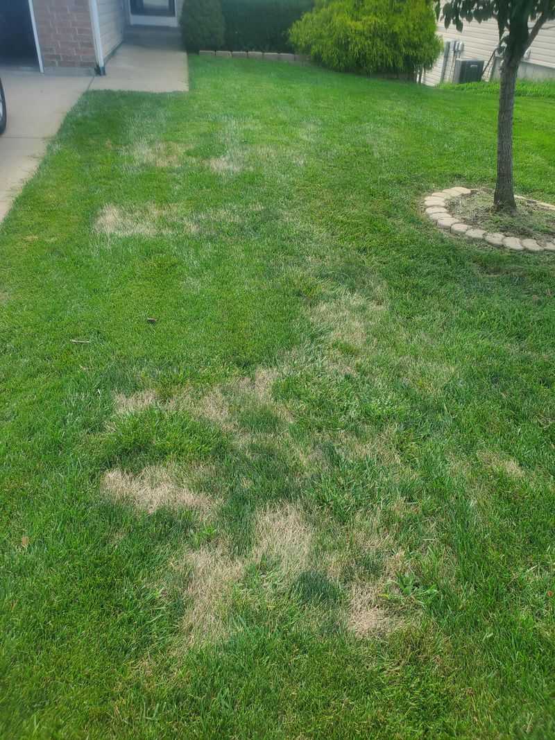 The Hottest Afternoon Hours Add Extra Turf Stress The Hottest Afternoon Hours Add Extra Turf Stress