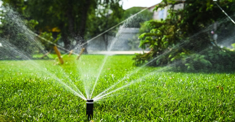 The July Lawn Watering Schedule Wisconsin Homeowners Should Follow