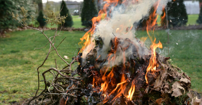 The Landscaping Mistakes Oregon Homeowners Make That Turn Yards Into Fire Hazards