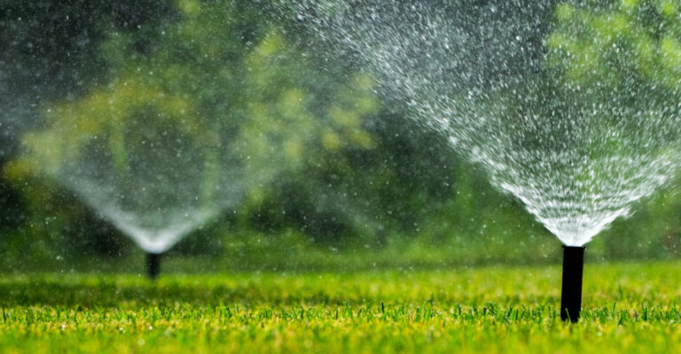 The Lawn Watering Schedule Missouri Homeowners Need For Healthy Grass In July